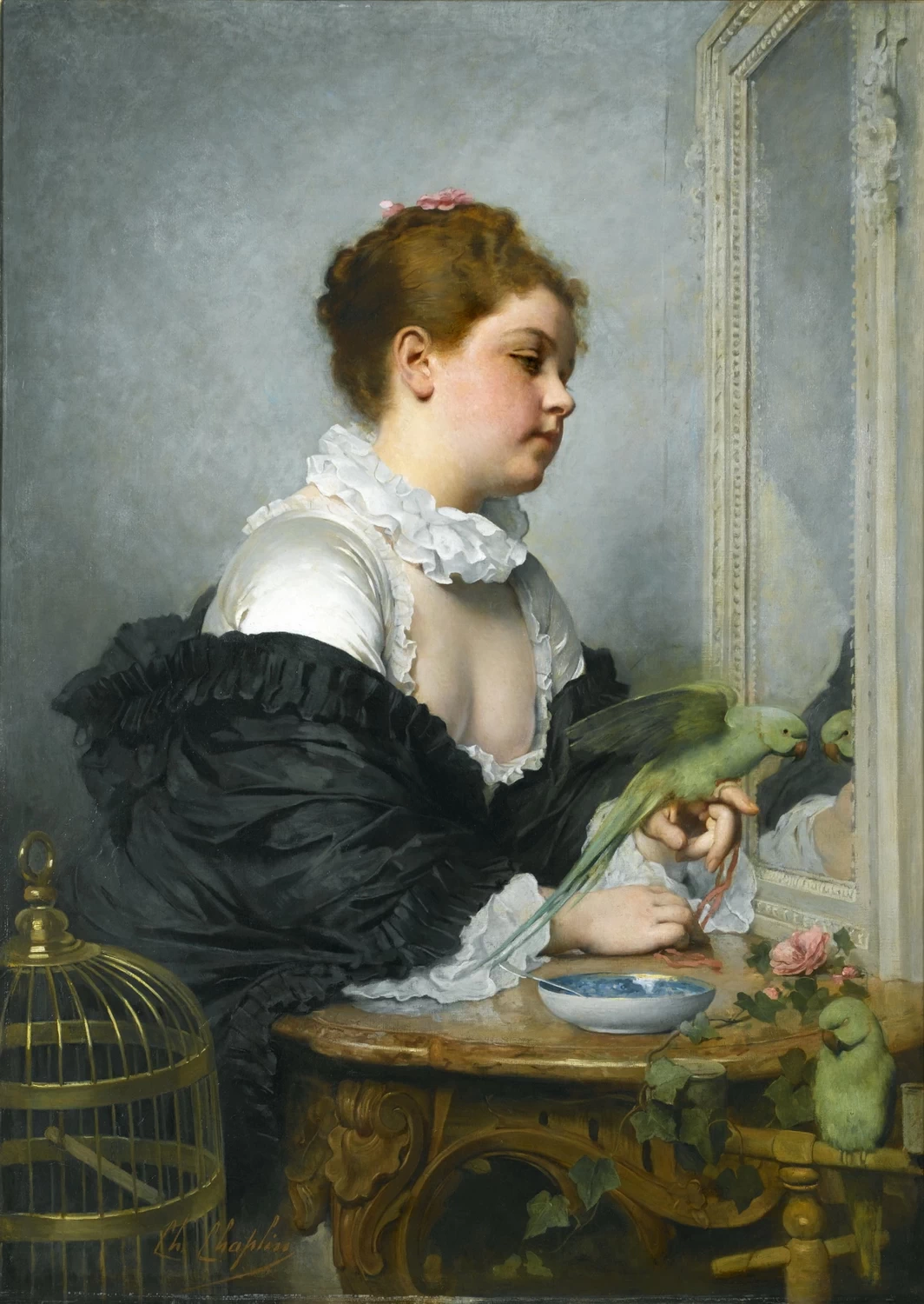 Il papagallo